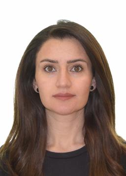 Chro Zangana - Tutor